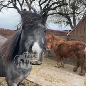 279403571_967233227244449_7401703716232147241_n