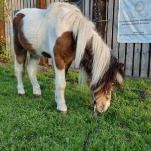 279406088_320424106906596_5321577595280774559_n