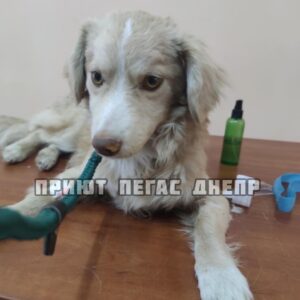 279407439_1170319143729323_4570134757276787192_n