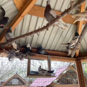 279430887_1317170252105197_2741803000067163330_n