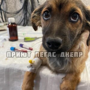 279448064_1058846955064091_4989583886848654818_n