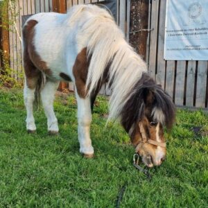 279452458_703990431051792_6165851249749928158_n