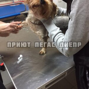 279462934_275090798080002_1980383785537247844_n