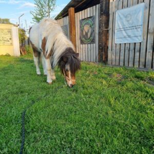 279553151_496556648838446_2795549327171919414_n