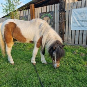 279559379_273787794877695_6512872161106597066_n