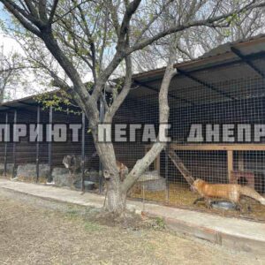 279913743_1007454873491869_4866266377283381009_n