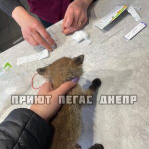 280047019_541994414215093_8931837138886839329_n