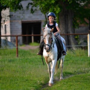 Hippotherapie und Onotherapie