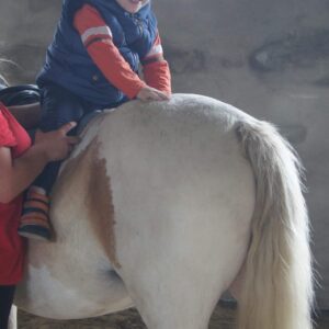 Hippotherapie und Onotherapie