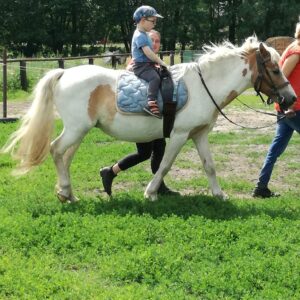 Hippotherapie und Onotherapie