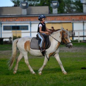 Hippotherapie und Onotherapie