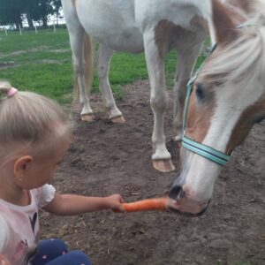 Hippotherapie und Onotherapie