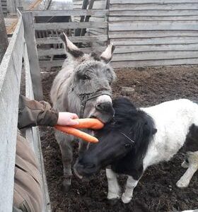 Schronisko Pani Natalii (10)