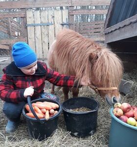 Schronisko Pani Natalii (19)