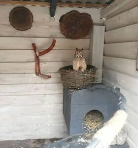 Schronisko Pani Natalii (20)