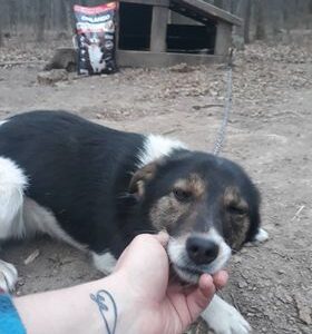 Schronisko Pani Natalii (21)