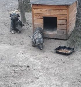 Schronisko Pani Natalii (26)