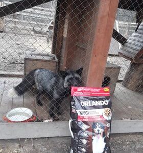 Schronisko Pani Natalii (29)