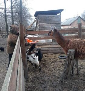 Schronisko Pani Natalii (7)