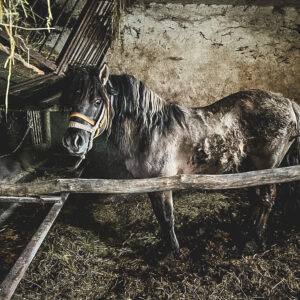 274812983_1023914081594423_5160793364853582590_n