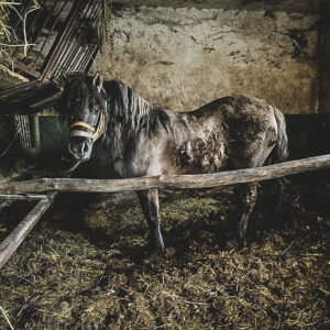 275040900_353330750005112_6238585514287545041_n