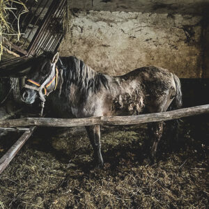 275098262_547524683103056_4971800707026378435_n