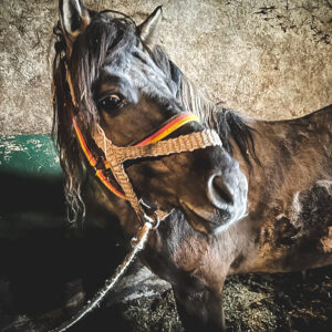 275103694_1362469520862497_2836160627508848401_n