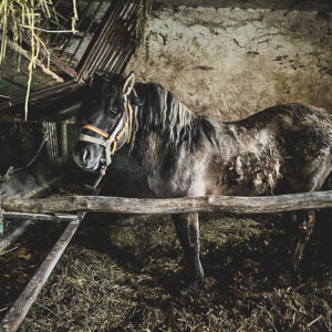 275283901_610593030278819_599082860477926520_n-1